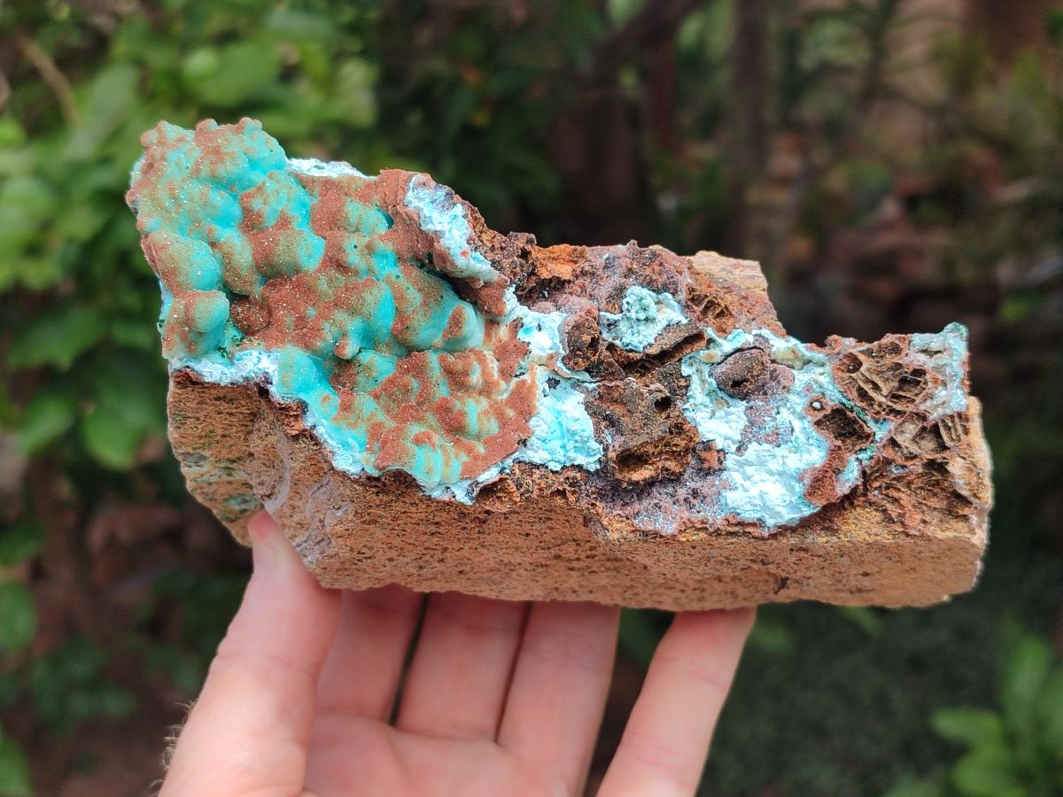 Natural Drusy Coated Chrysocolla with Malachite Specimens x 2 From Lupoto Mine, Congo - Toprock Gemstones and Minerals 