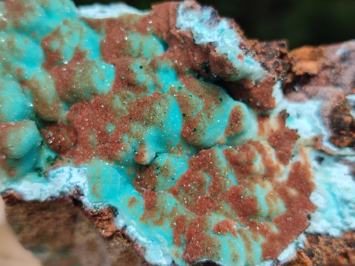 Natural Drusy Coated Chrysocolla with Malachite Specimens x 2 From Lupoto Mine, Congo - Toprock Gemstones and Minerals 