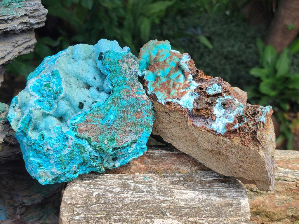 Natural Drusy Coated Chrysocolla with Malachite Specimens x 2 From Lupoto Mine, Congo - Toprock Gemstones and Minerals 