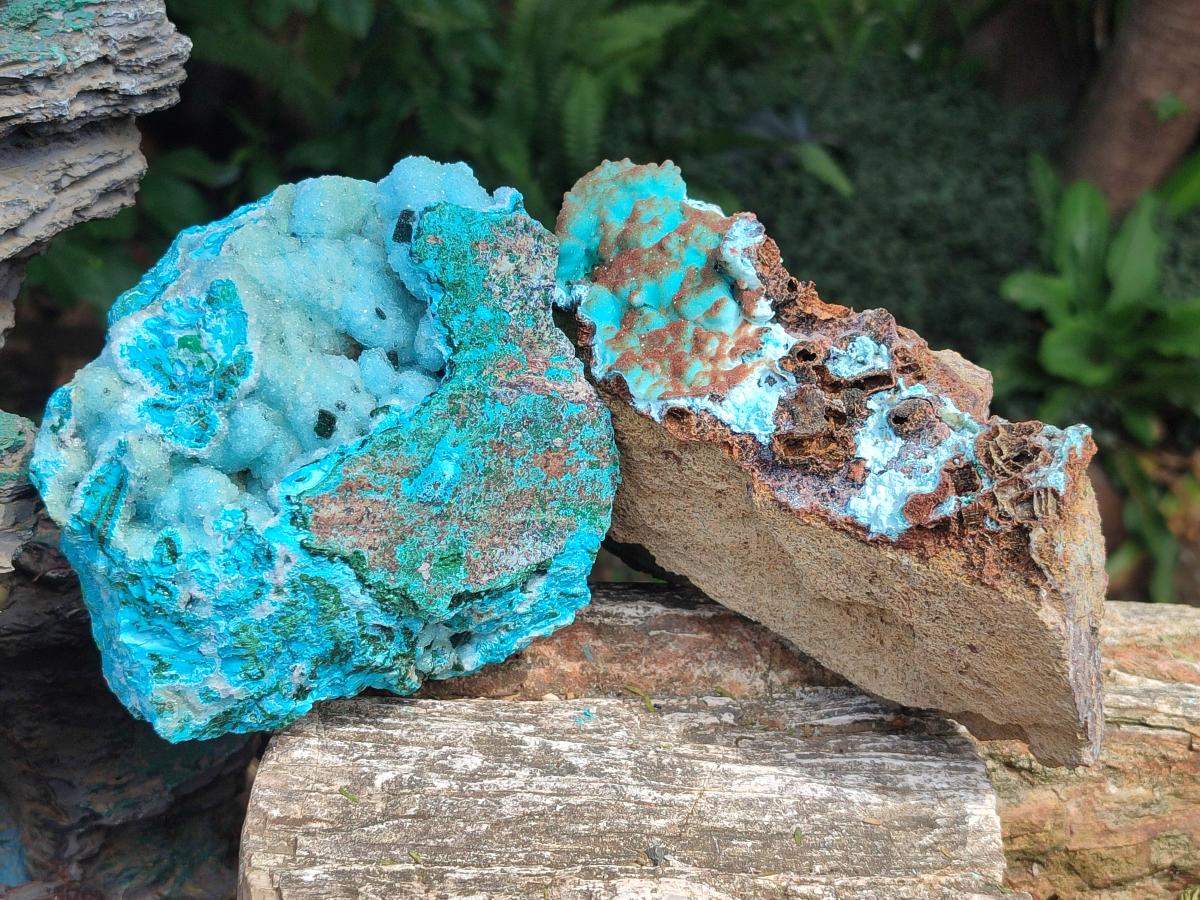 Natural Drusy Coated Chrysocolla with Malachite Specimens x 2 From Lupoto Mine, Congo - Toprock Gemstones and Minerals 