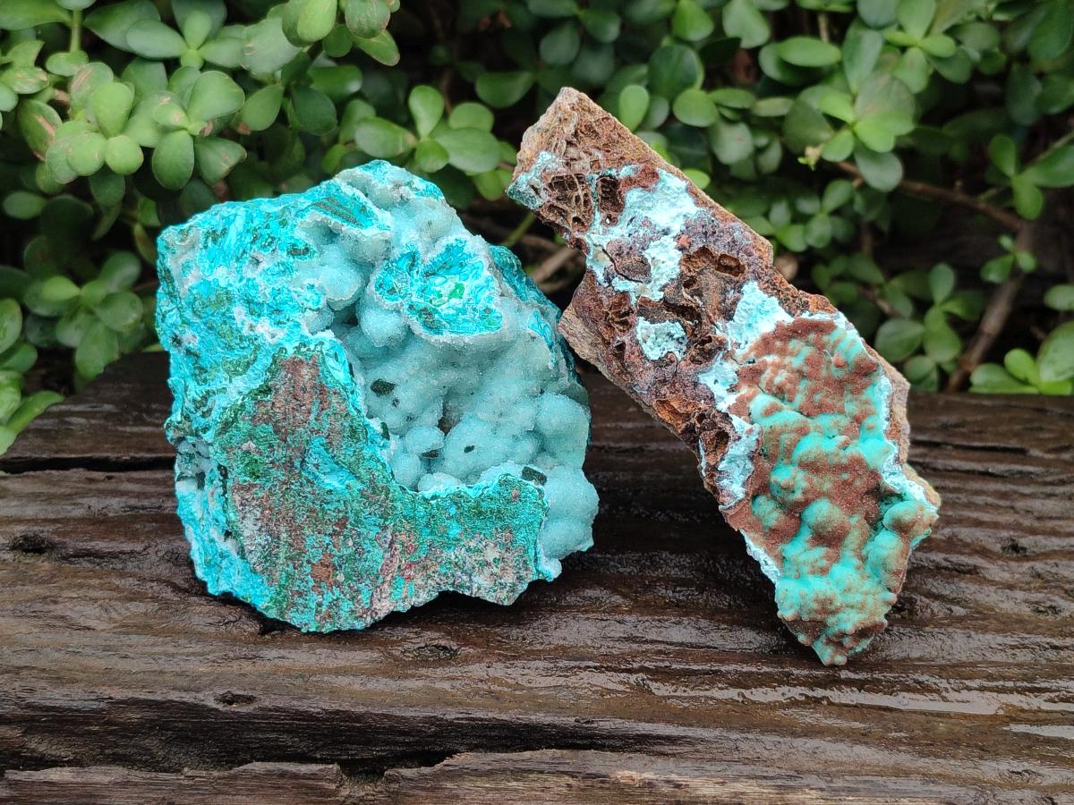 Natural Drusy Coated Chrysocolla with Malachite Specimens x 2 From Lupoto Mine, Congo - Toprock Gemstones and Minerals 