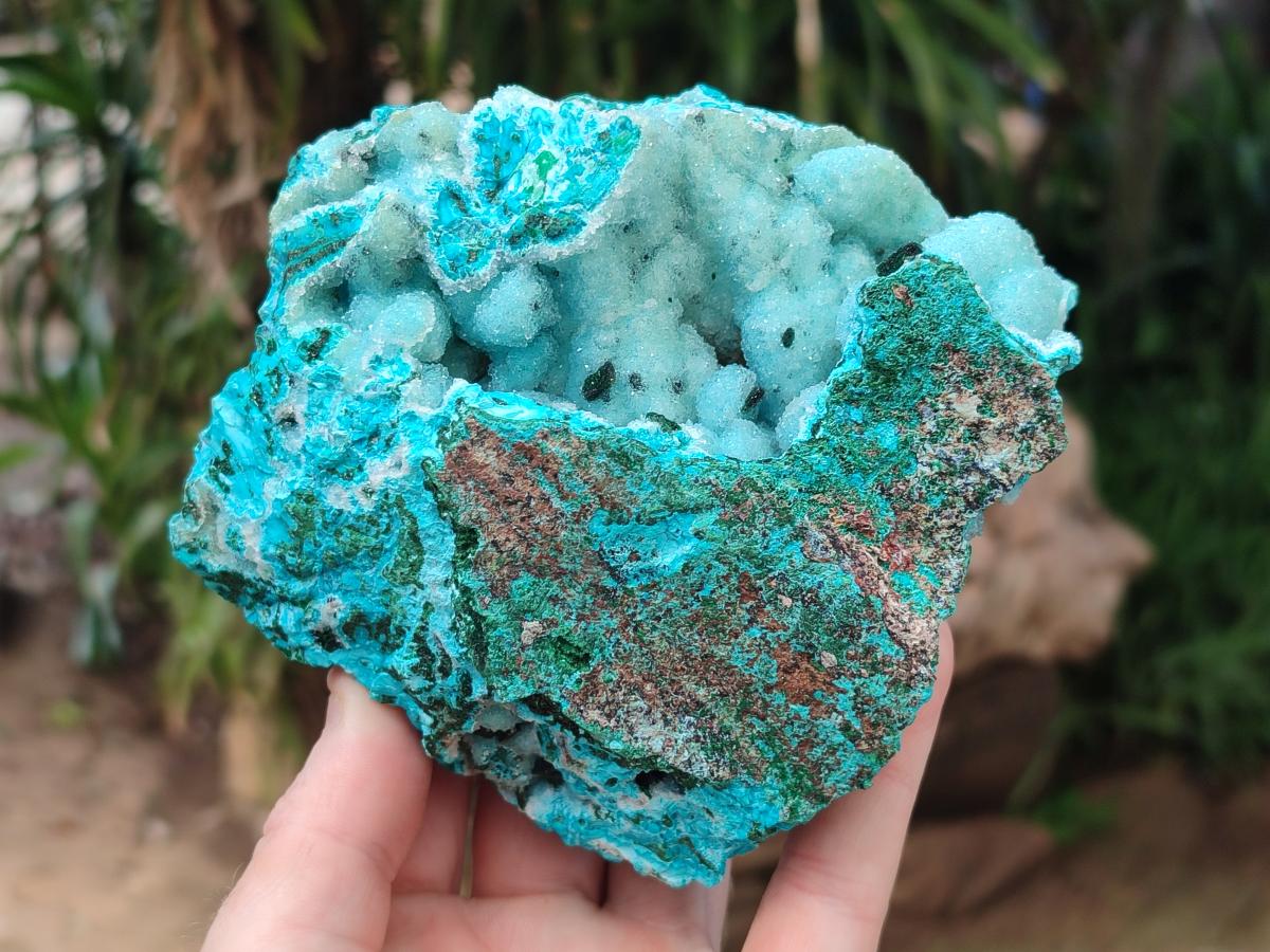 Natural Drusy Coated Chrysocolla with Malachite Specimens x 2 From Lupoto Mine, Congo - Toprock Gemstones and Minerals 