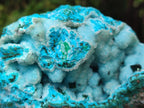 Natural Drusy Coated Chrysocolla with Malachite Specimens x 2 From Lupoto Mine, Congo - Toprock Gemstones and Minerals 