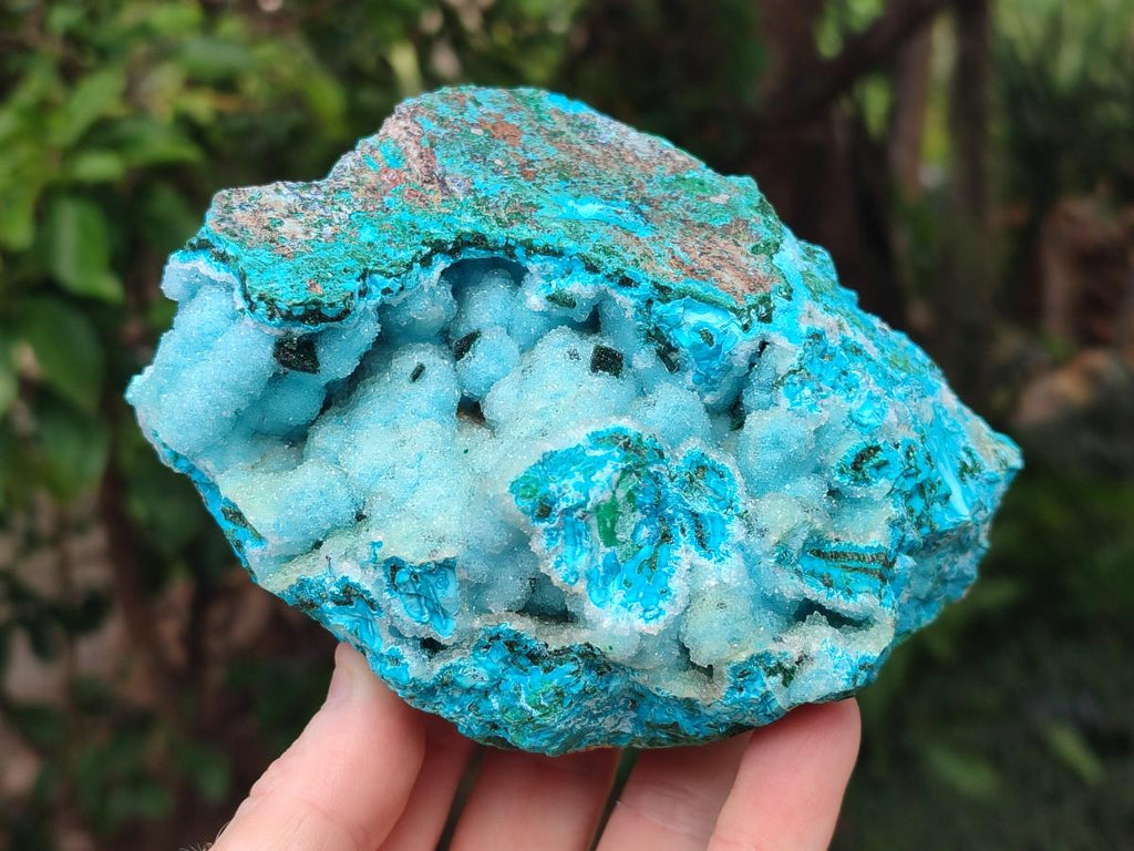 Natural Drusy Coated Chrysocolla with Malachite Specimens x 2 From Lupoto Mine, Congo - Toprock Gemstones and Minerals 