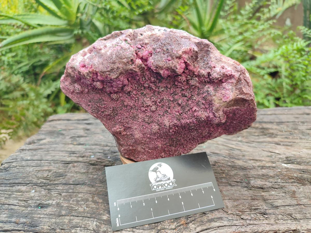 Natural Large Salrose Cobaltoan Dolomite Specimen x 1 From Kakanda, Congo - Toprock Gemstones and Minerals 