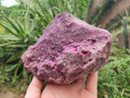 Natural Large Salrose Cobaltoan Dolomite Specimen x 1 From Kakanda, Congo - Toprock Gemstones and Minerals 