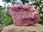 Natural Large Salrose Cobaltoan Dolomite Specimen x 1 From Kakanda, Congo - Toprock Gemstones and Minerals 