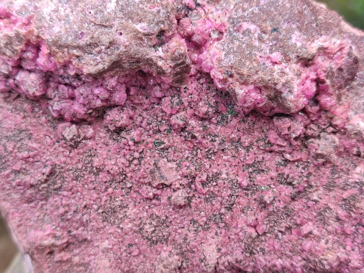 Natural Large Salrose Cobaltoan Dolomite Specimen x 1 From Kakanda, Congo - Toprock Gemstones and Minerals 