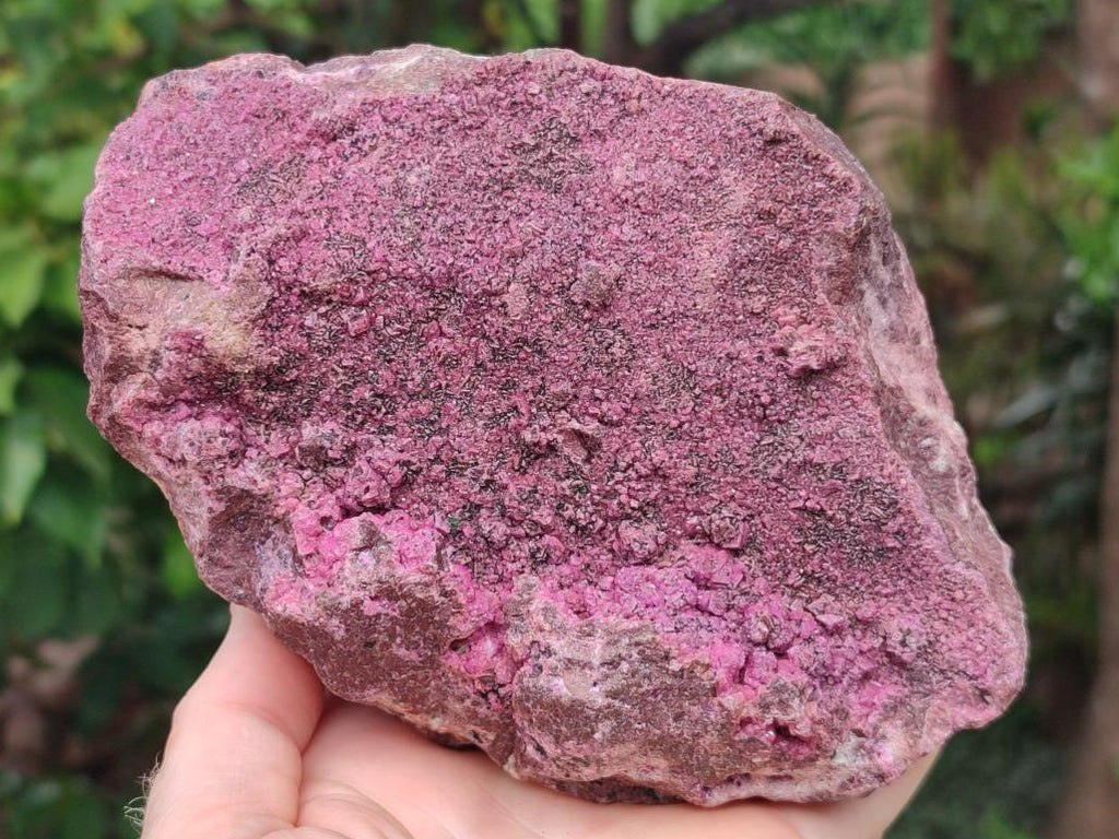 Natural Large Salrose Cobaltoan Dolomite Specimen x 1 From Kakanda, Congo - Toprock Gemstones and Minerals 