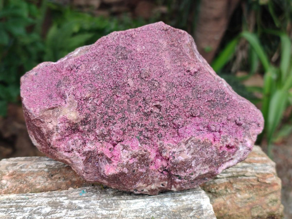 Natural Large Salrose Cobaltoan Dolomite Specimen x 1 From Kakanda, Congo - Toprock Gemstones and Minerals 