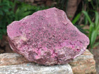 Natural Large Salrose Cobaltoan Dolomite Specimen x 1 From Kakanda, Congo - Toprock Gemstones and Minerals 