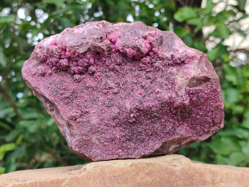 Natural Large Salrose Cobaltoan Dolomite Specimen x 1 From Kakanda, Congo - Toprock Gemstones and Minerals 