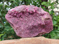 Natural Large Salrose Cobaltoan Dolomite Specimen x 1 From Kakanda, Congo - Toprock Gemstones and Minerals 