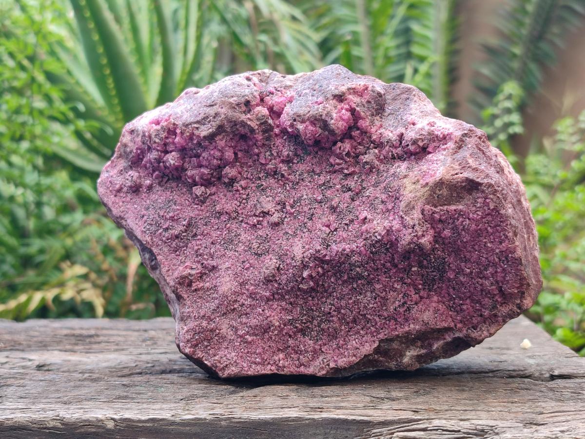 Natural Large Salrose Cobaltoan Dolomite Specimen x 1 From Kakanda, Congo - Toprock Gemstones and Minerals 