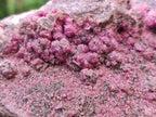 Natural Large Salrose Cobaltoan Dolomite Specimen x 1 From Kakanda, Congo - Toprock Gemstones and Minerals 
