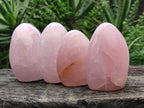Polished Gemmy Rose Quartz Standing Free Forms x 6 From Madagascar - Toprock Gemstones and Minerals 