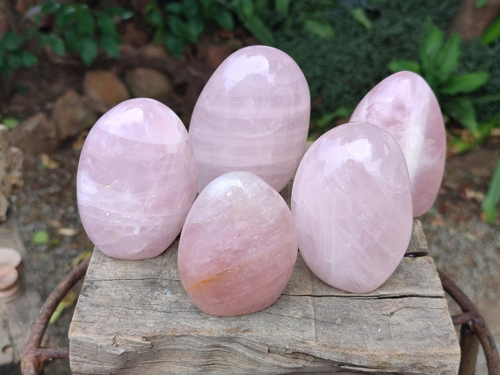 Polished Gemmy Rose Quartz Standing Free Forms x 6 From Madagascar - Toprock Gemstones and Minerals 