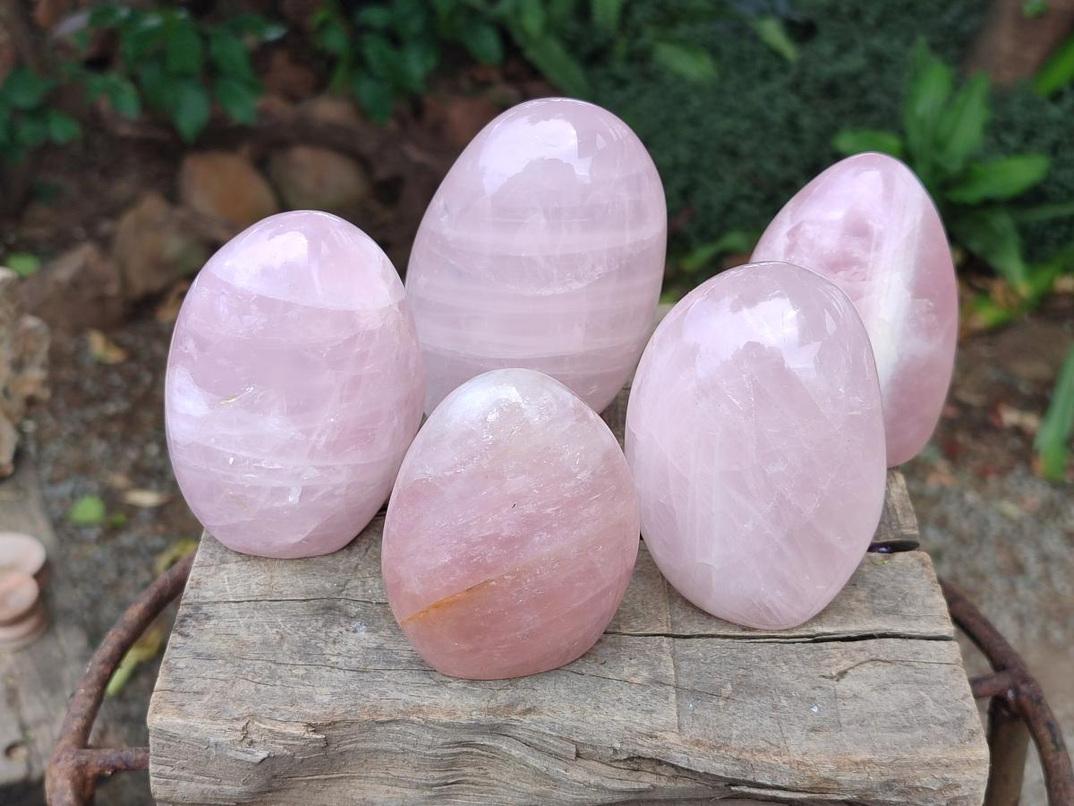 Polished Gemmy Rose Quartz Standing Free Forms x 6 From Madagascar - Toprock Gemstones and Minerals 
