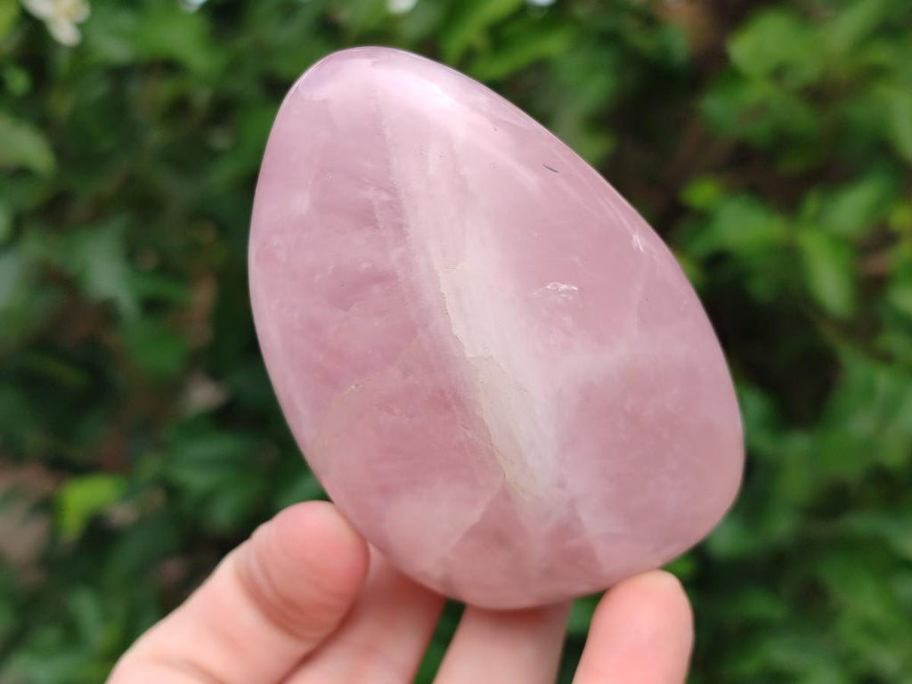 Polished Gemmy Rose Quartz Standing Free Forms x 6 From Madagascar - Toprock Gemstones and Minerals 