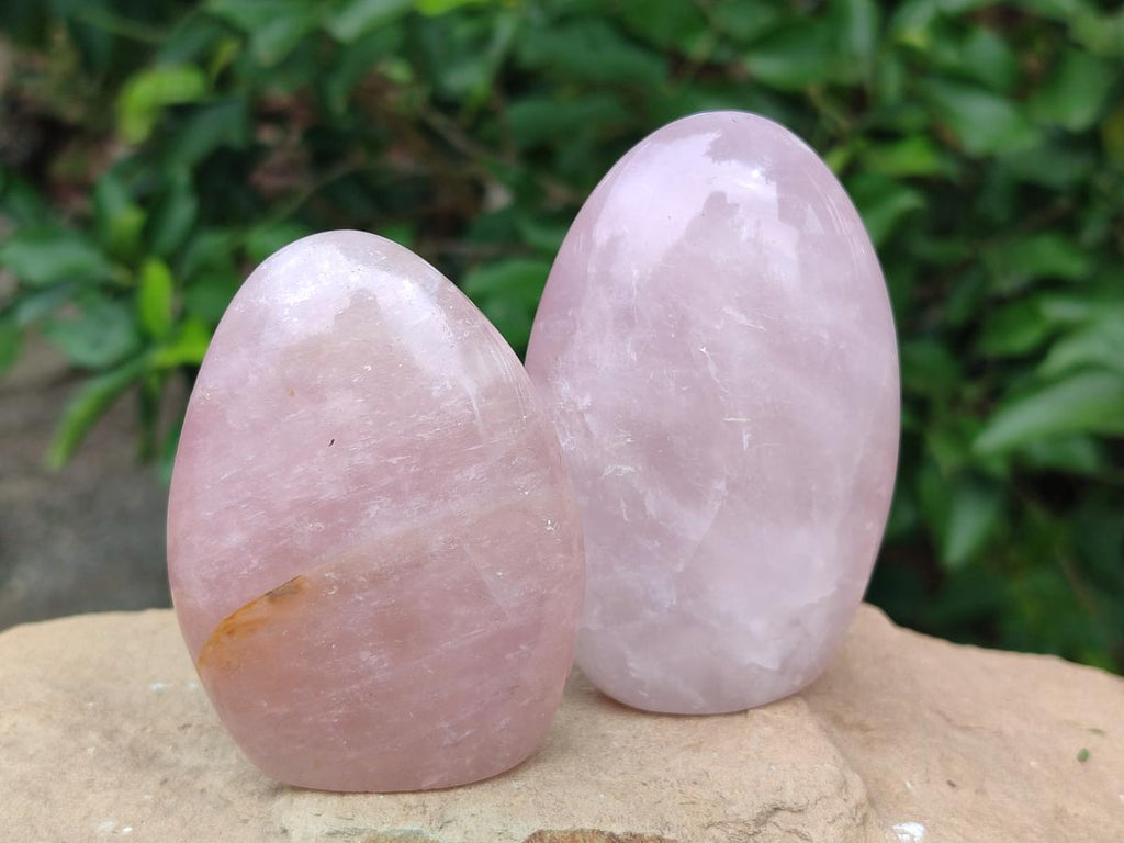 Polished Gemmy Rose Quartz Standing Free Forms x 6 From Madagascar - Toprock Gemstones and Minerals 