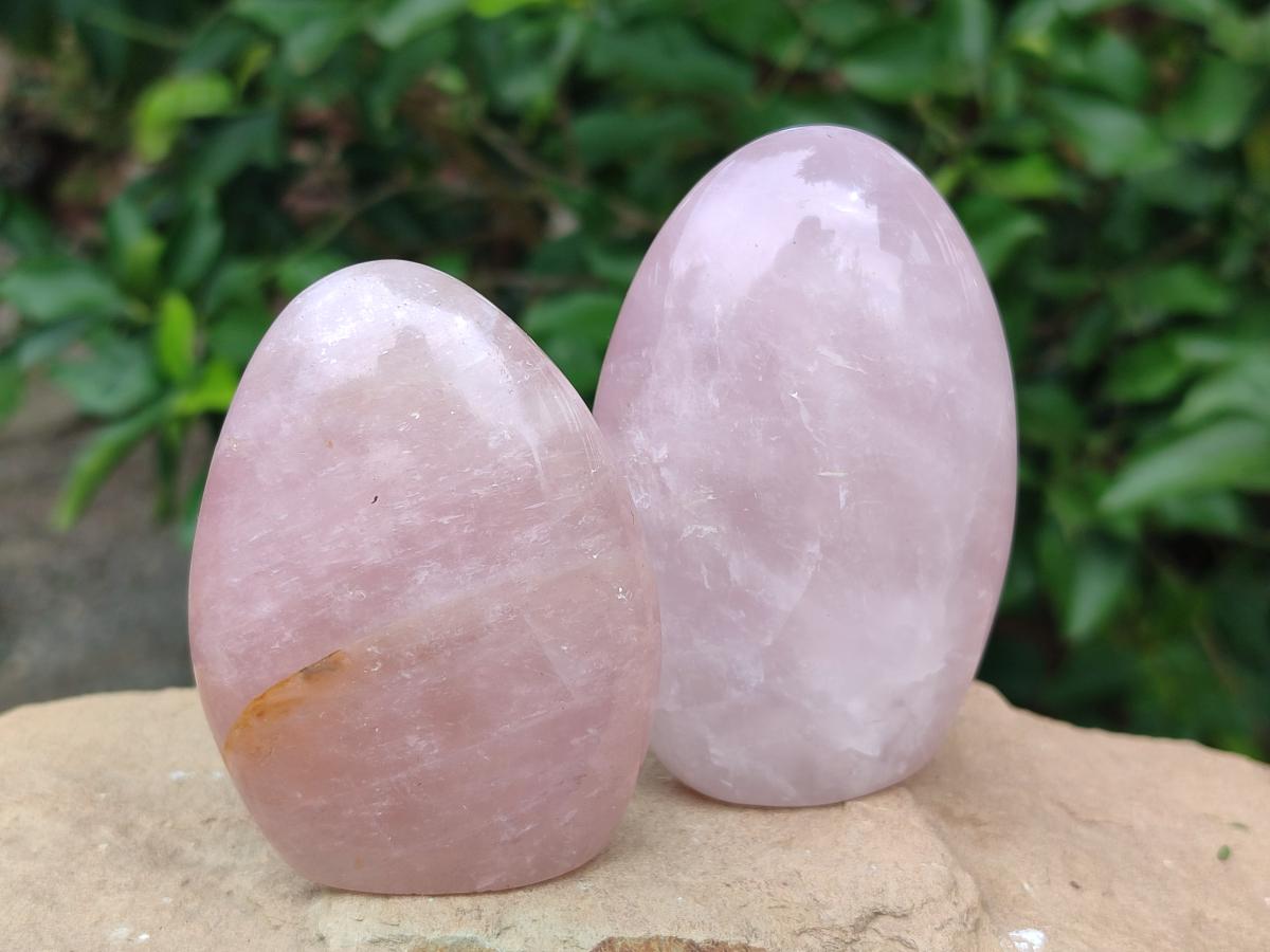Polished Gemmy Rose Quartz Standing Free Forms x 6 From Madagascar - Toprock Gemstones and Minerals 