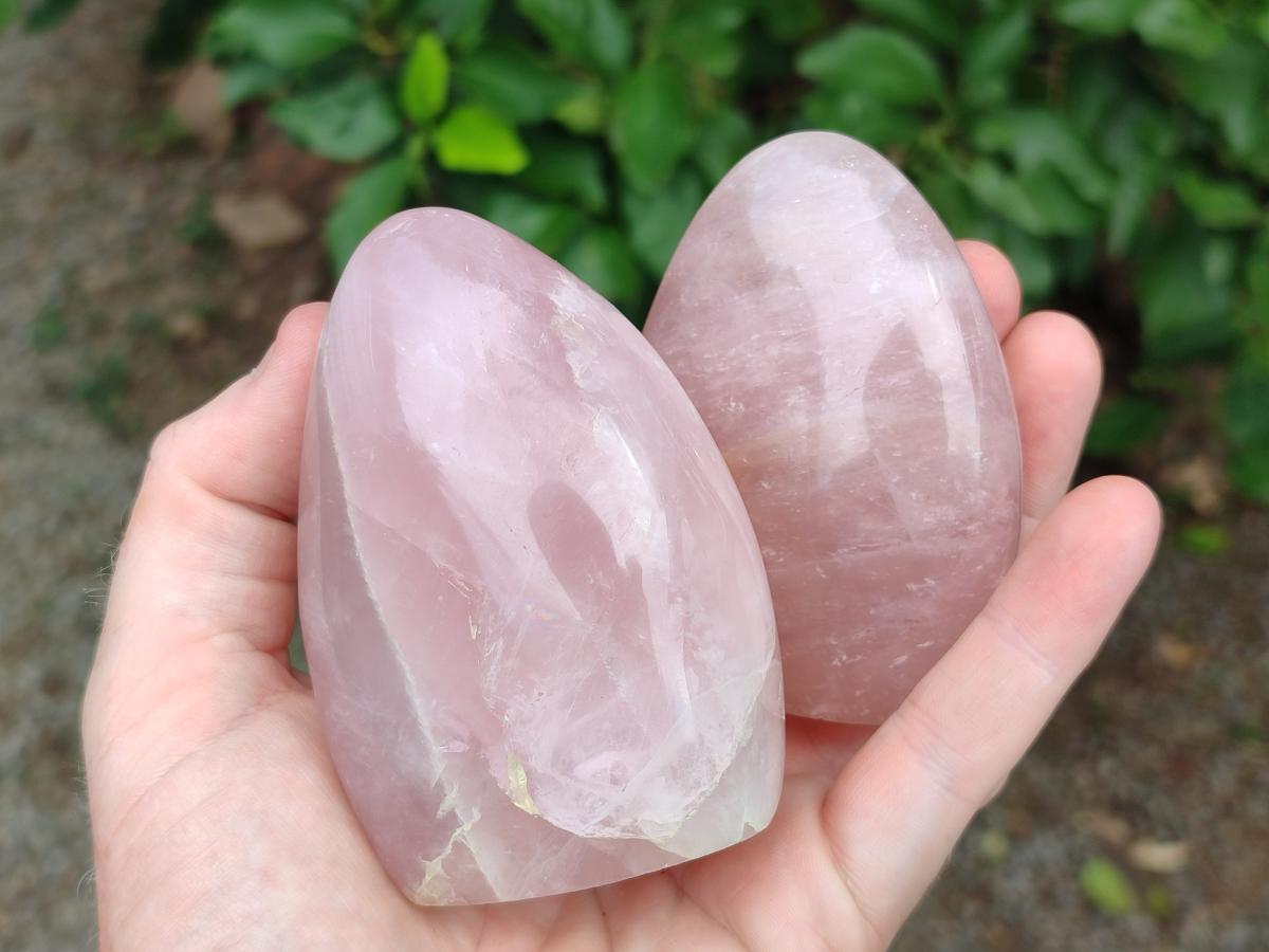 Polished Gemmy Rose Quartz Standing Free Forms x 6 From Madagascar - Toprock Gemstones and Minerals 