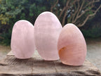 Polished Gemmy Rose Quartz Standing Free Forms x 6 From Madagascar - Toprock Gemstones and Minerals 