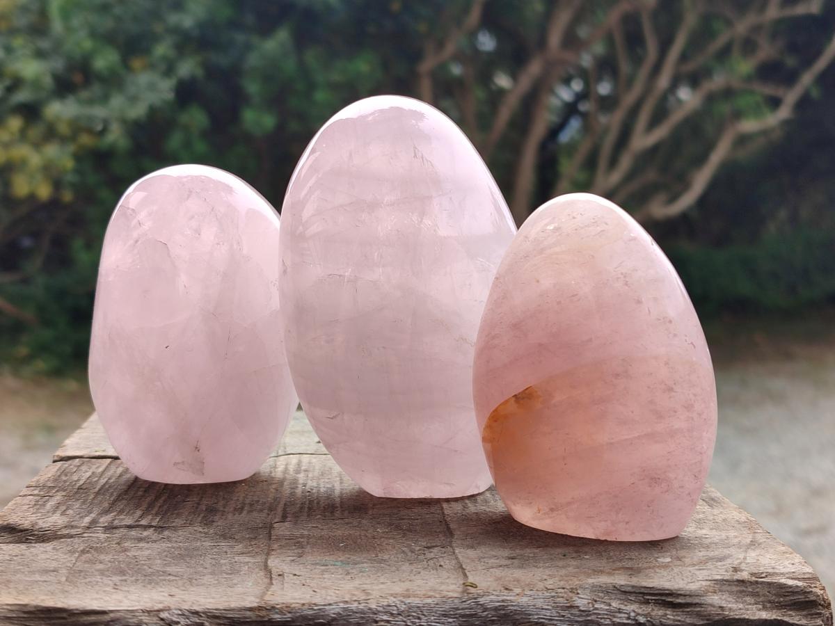 Polished Gemmy Rose Quartz Standing Free Forms x 6 From Madagascar - Toprock Gemstones and Minerals 