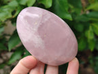 Polished Gemmy Rose Quartz Standing Free Forms x 6 From Madagascar - Toprock Gemstones and Minerals 