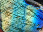 Polished Labradorite Standing Free Forms x 2 From Madagascar - Toprock Gemstones and Minerals 