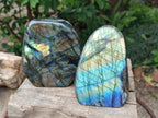 Polished Labradorite Standing Free Forms x 2 From Madagascar - Toprock Gemstones and Minerals 