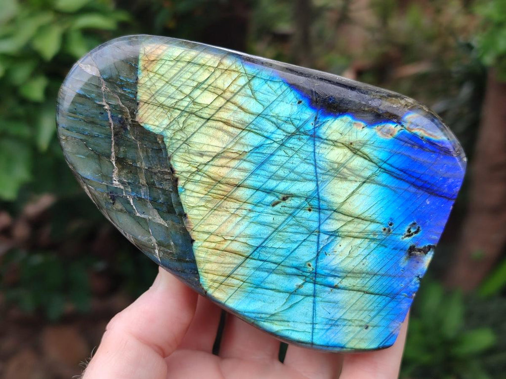 Polished Labradorite Standing Free Forms x 2 From Madagascar - Toprock Gemstones and Minerals 