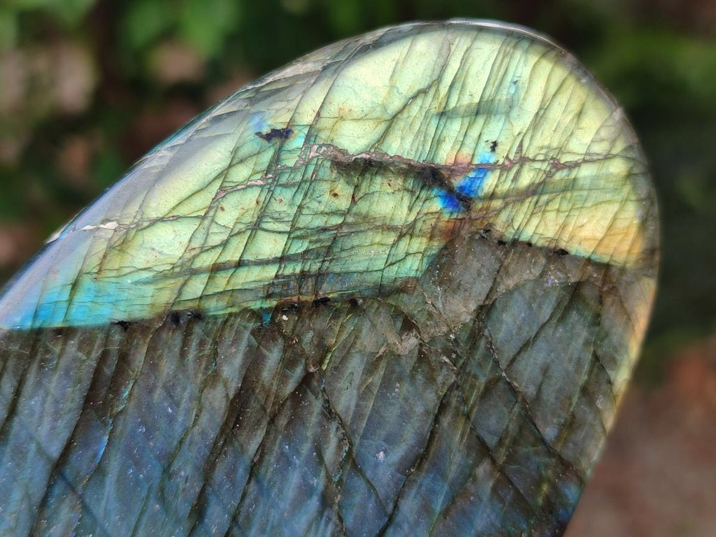 Polished Labradorite Standing Free Forms x 2 From Madagascar - Toprock Gemstones and Minerals 