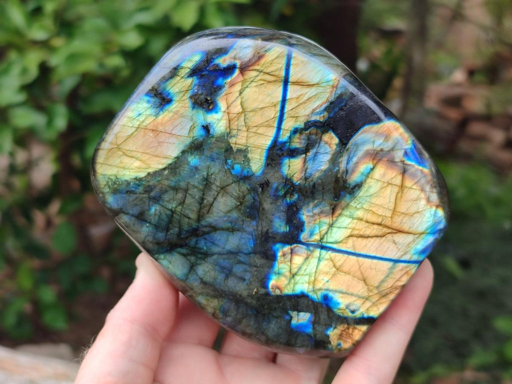 Polished Labradorite Standing Free Forms x 2 From Madagascar - Toprock Gemstones and Minerals 