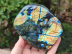 Polished Labradorite Standing Free Forms x 2 From Madagascar - Toprock Gemstones and Minerals 