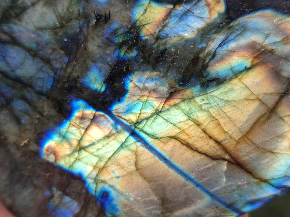Polished Labradorite Standing Free Forms x 2 From Madagascar - Toprock Gemstones and Minerals 