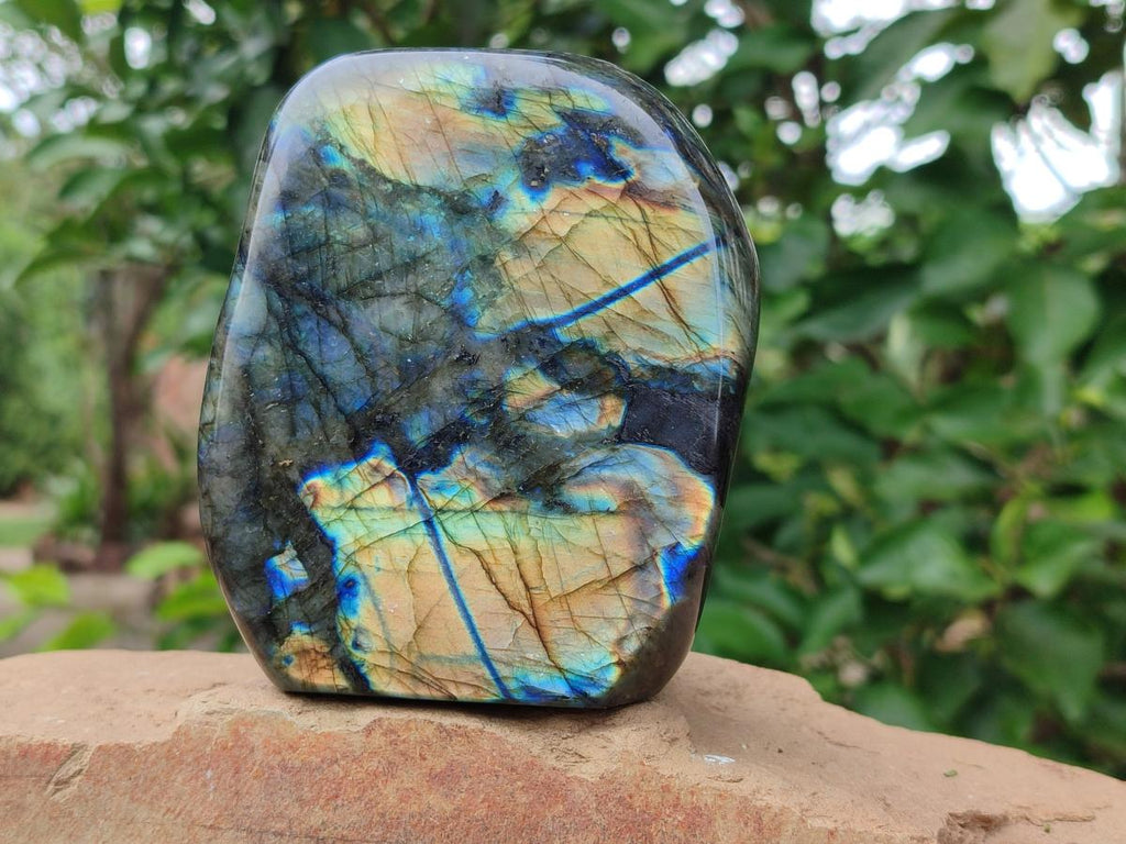 Polished Labradorite Standing Free Forms x 2 From Madagascar - Toprock Gemstones and Minerals 