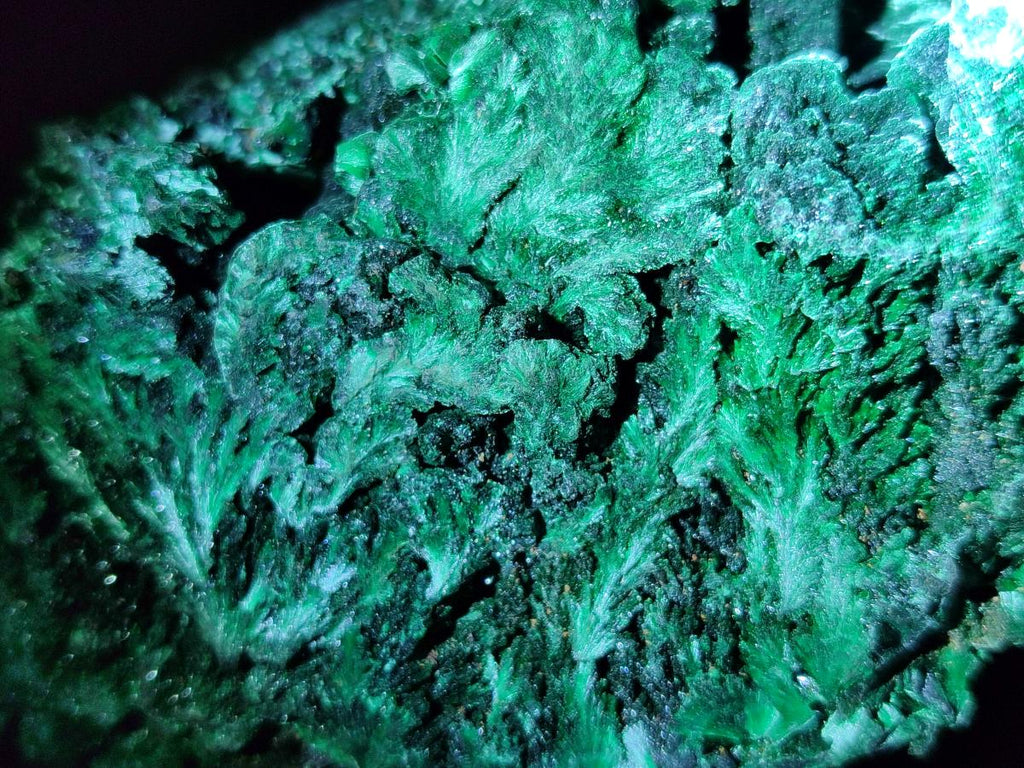 Natural Silky Malachite Specimens x 2 From Kasompe, Congo - Toprock Gemstones and Minerals 