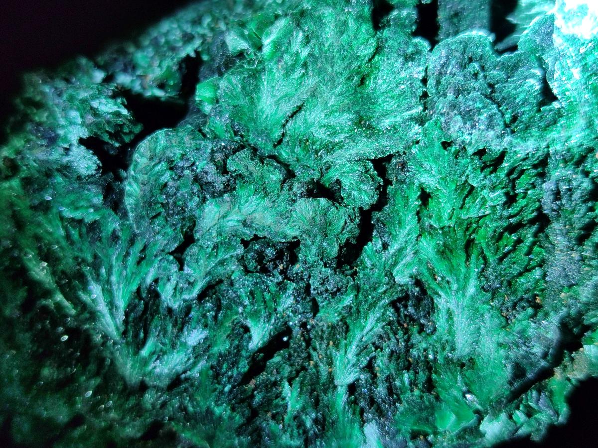 Natural Silky Malachite Specimens x 2 From Kasompe, Congo - Toprock Gemstones and Minerals 