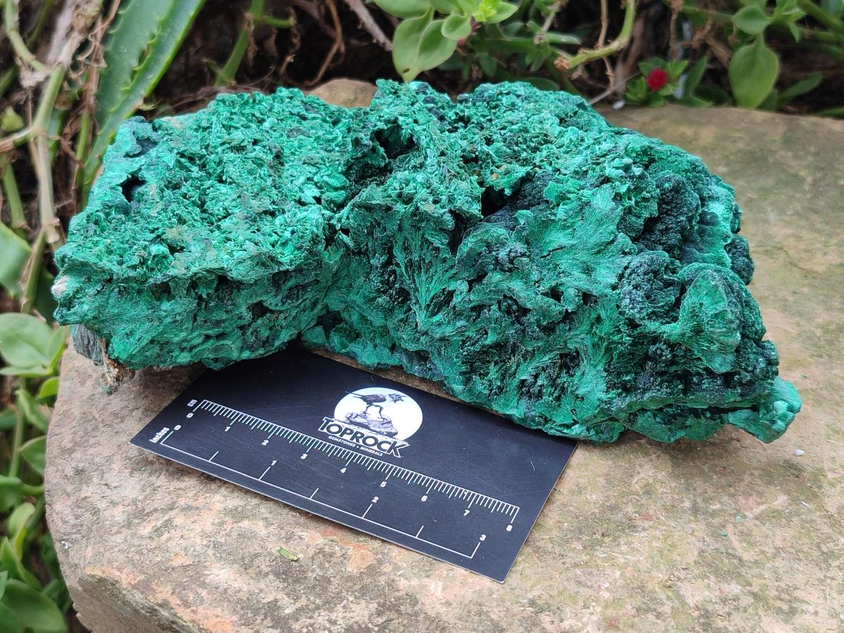 Natural Silky Malachite Specimens x 2 From Kasompe, Congo - Toprock Gemstones and Minerals 