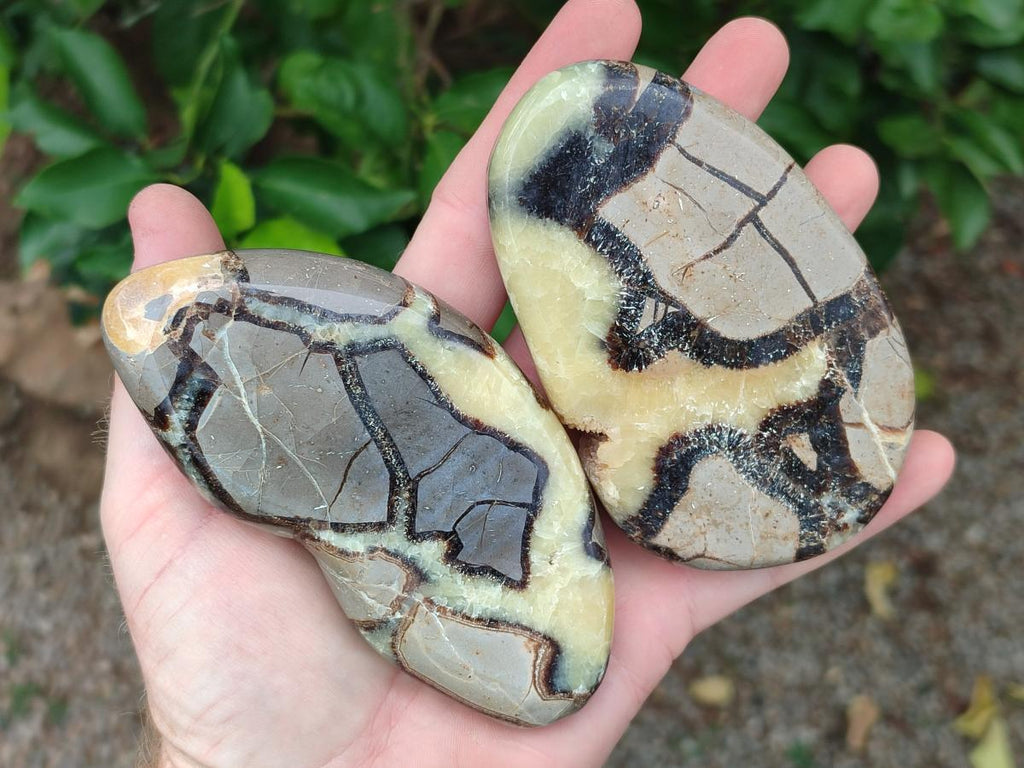 Polished Septerye Slices x 6 From Mahajanga, Madagascar - Toprock Gemstones and Minerals 