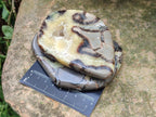 Polished Septerye Slices x 6 From Mahajanga, Madagascar - Toprock Gemstones and Minerals 