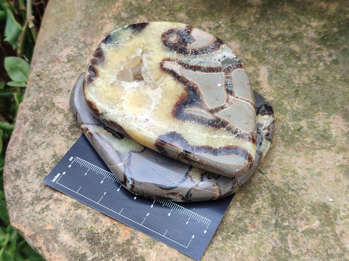 Polished Septerye Slices x 6 From Mahajanga, Madagascar - Toprock Gemstones and Minerals 