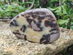 Polished Septerye Slices x 6 From Mahajanga, Madagascar - Toprock Gemstones and Minerals 