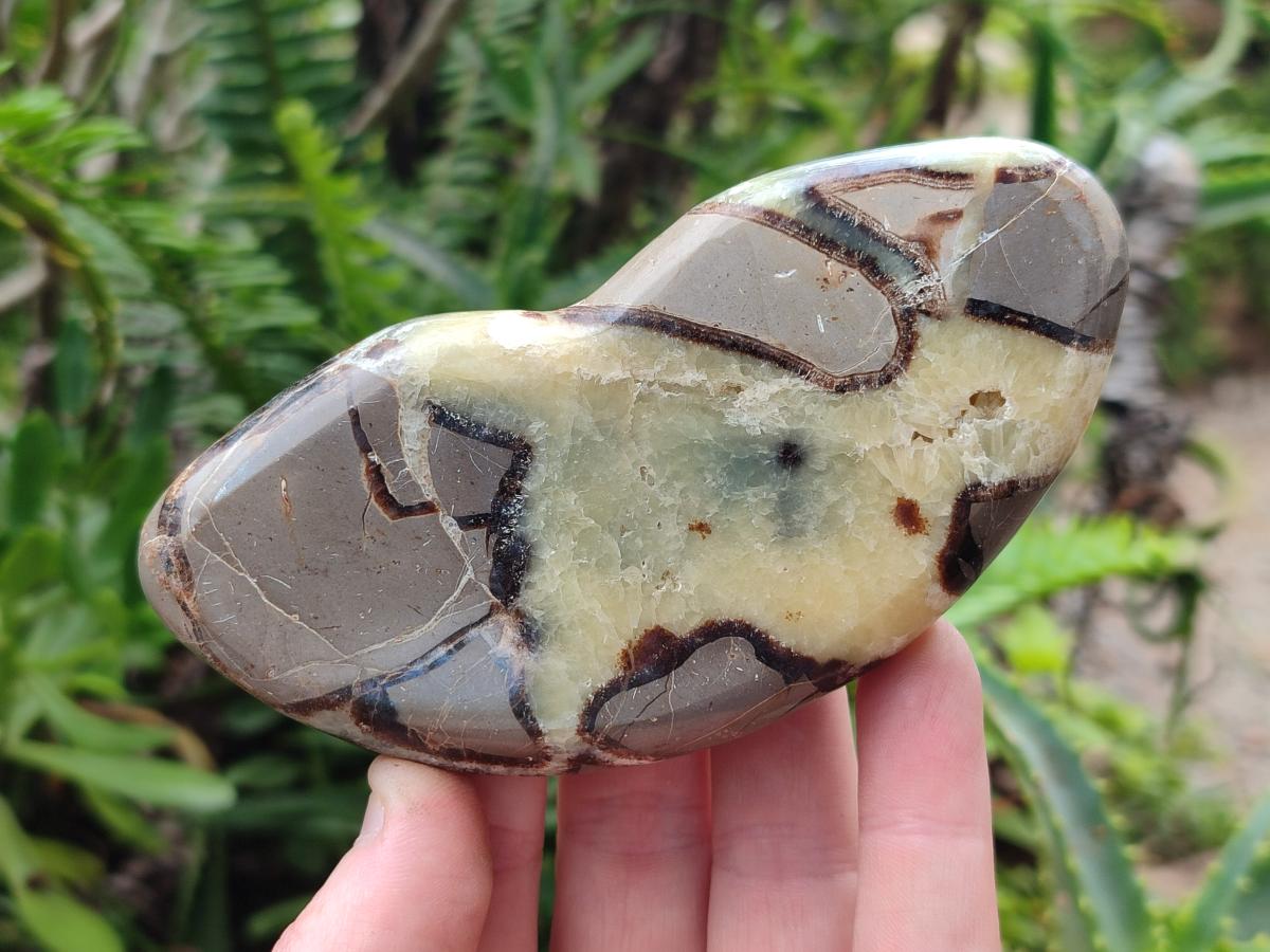 Polished Septerye Slices x 6 From Mahajanga, Madagascar - Toprock Gemstones and Minerals 