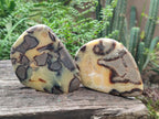 Polished Septerye Slices x 6 From Mahajanga, Madagascar - Toprock Gemstones and Minerals 