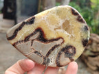 Polished Septerye Slices x 6 From Mahajanga, Madagascar - Toprock Gemstones and Minerals 