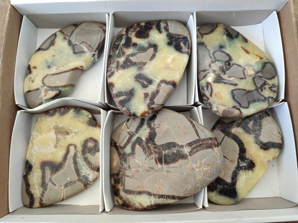 Polished Septerye Slices x 6 From Mahajanga, Madagascar - Toprock Gemstones and Minerals 