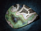 Polished Septerye Slices x 6 From Mahajanga, Madagascar - Toprock Gemstones and Minerals 