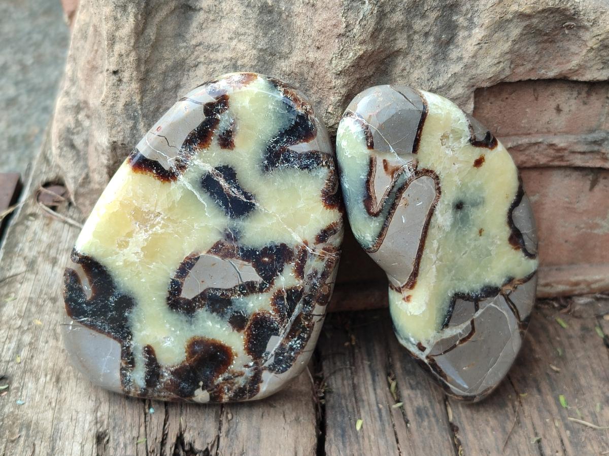 Polished Septerye Slices x 6 From Mahajanga, Madagascar - Toprock Gemstones and Minerals 